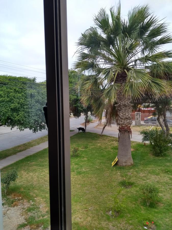 Apartamento Departamento Familiar Coquimbo